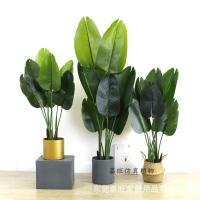 uploads/erp/collection/images/Home Garden/dgjiawang/XU0612558/img_b/XU0612558_img_b_4